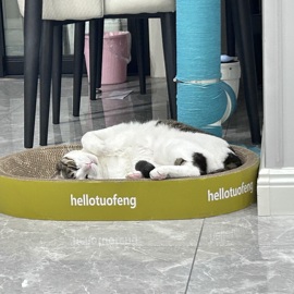 沅沅🎤马到成功的图片