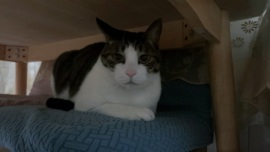 沅沅🎤马到成功的图片