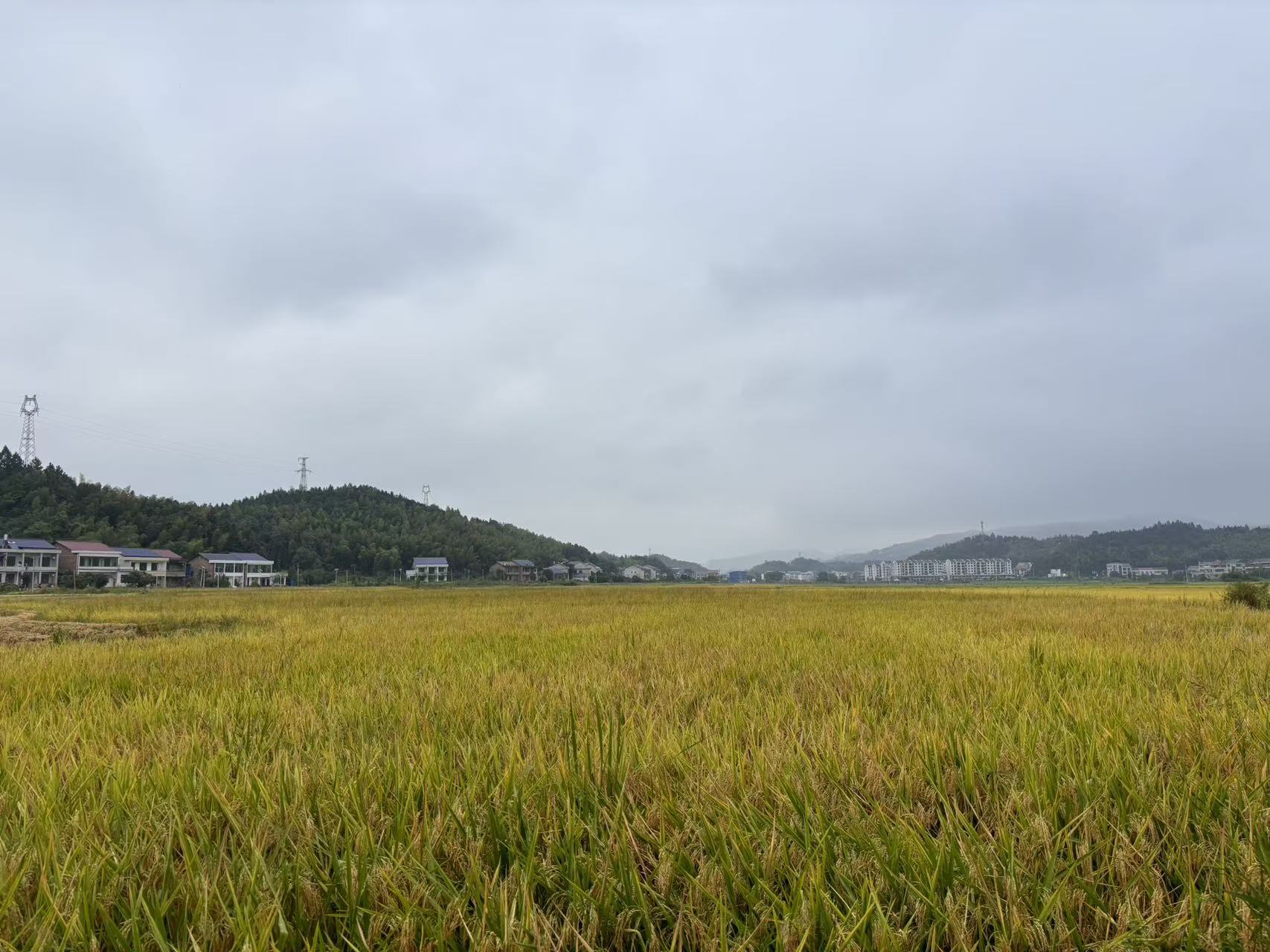 宝儿祝家人们新年快乐的主播照片