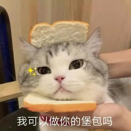 洁儿宝宝💗的图片