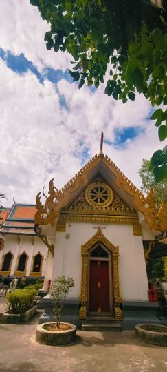 妞妞骑行漳州的图片