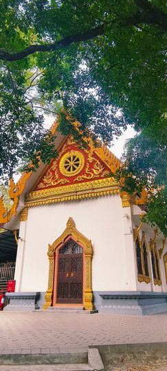 妞妞骑行漳州的图片