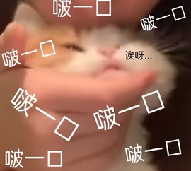 洁儿宝宝💗的图片