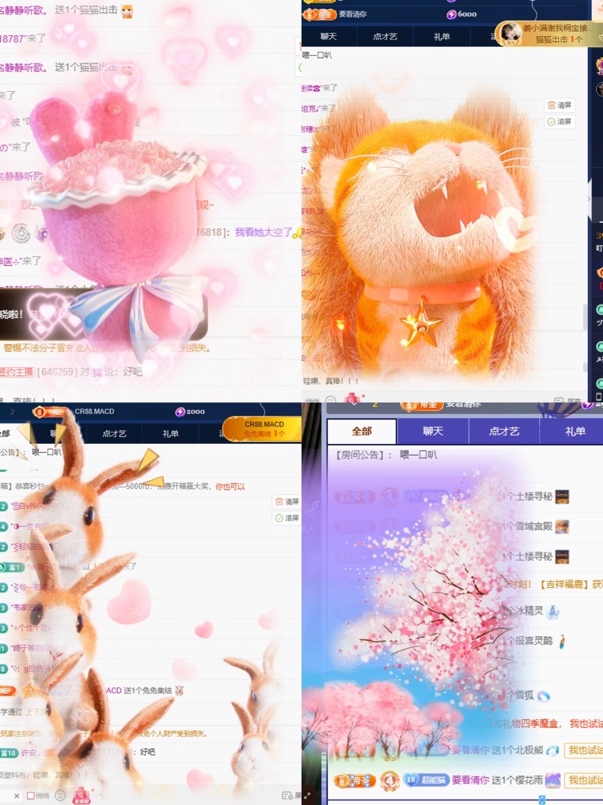 叮叮猫🐾求投喂主播图片