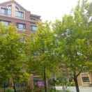 精彩人生（老房东）的头像