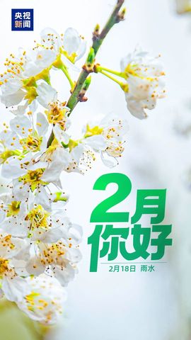 为你穿越1000英里的图片