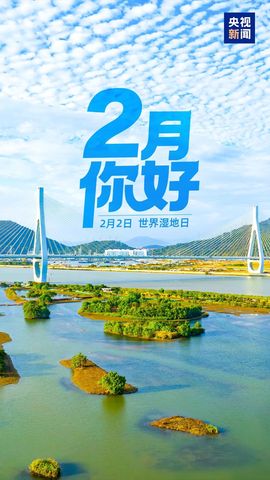 为你穿越1000英里的图片