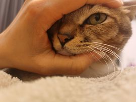 青杉🎤可爱迷人的图片