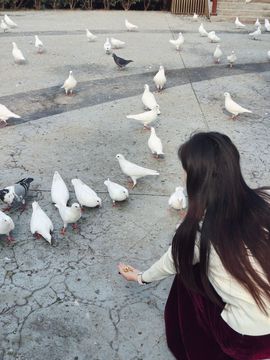 唐乖乖123主播照片