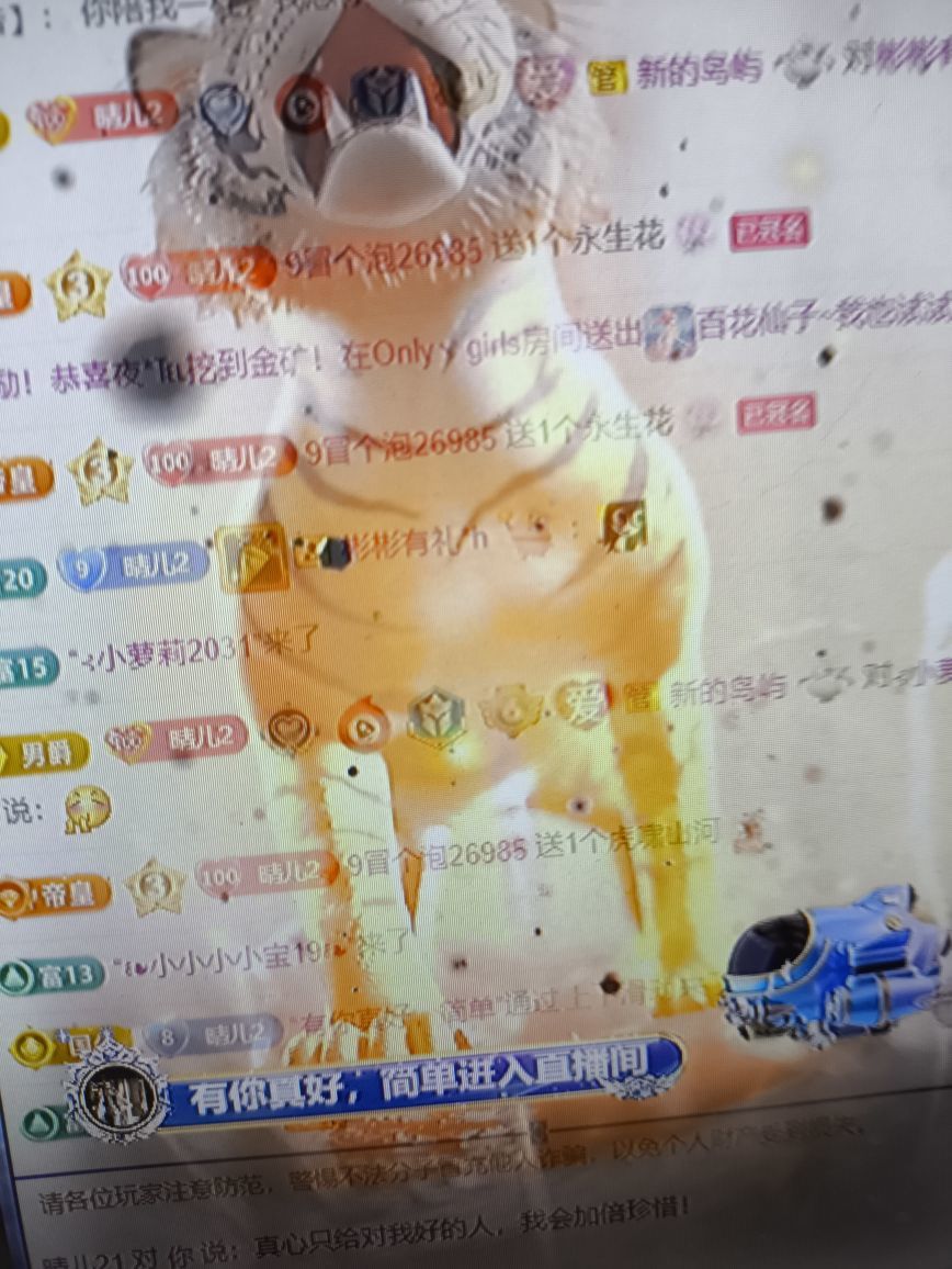 晴儿祝大家新年快乐！的图片