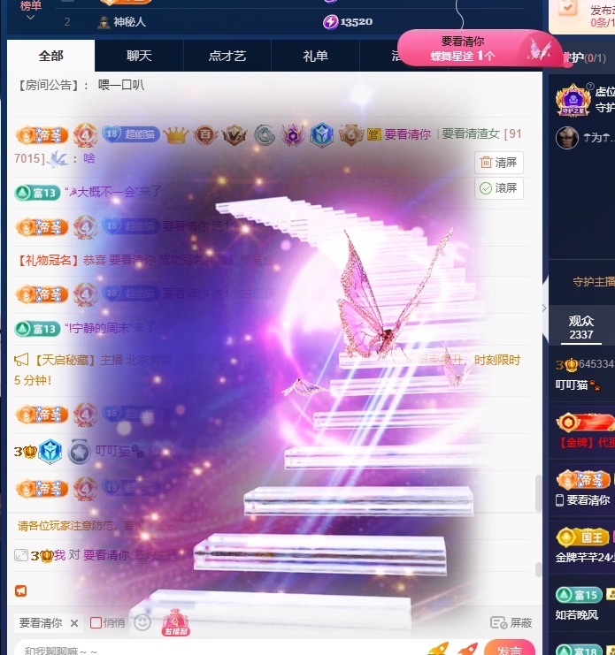 叮叮猫🐾求投喂主播图片