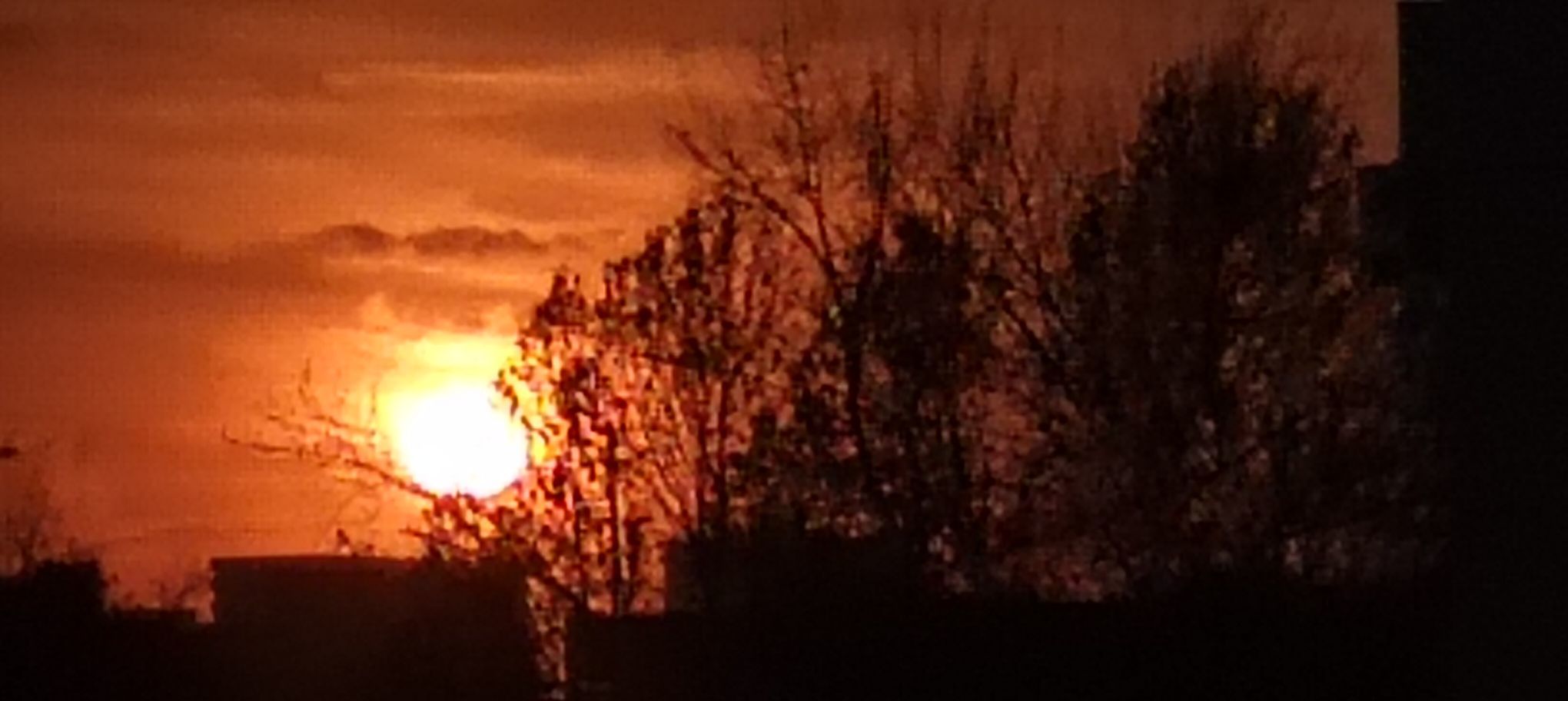 ❤水瓶座旺旺主播图片