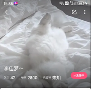 杨哥在阎王殿等你的头像