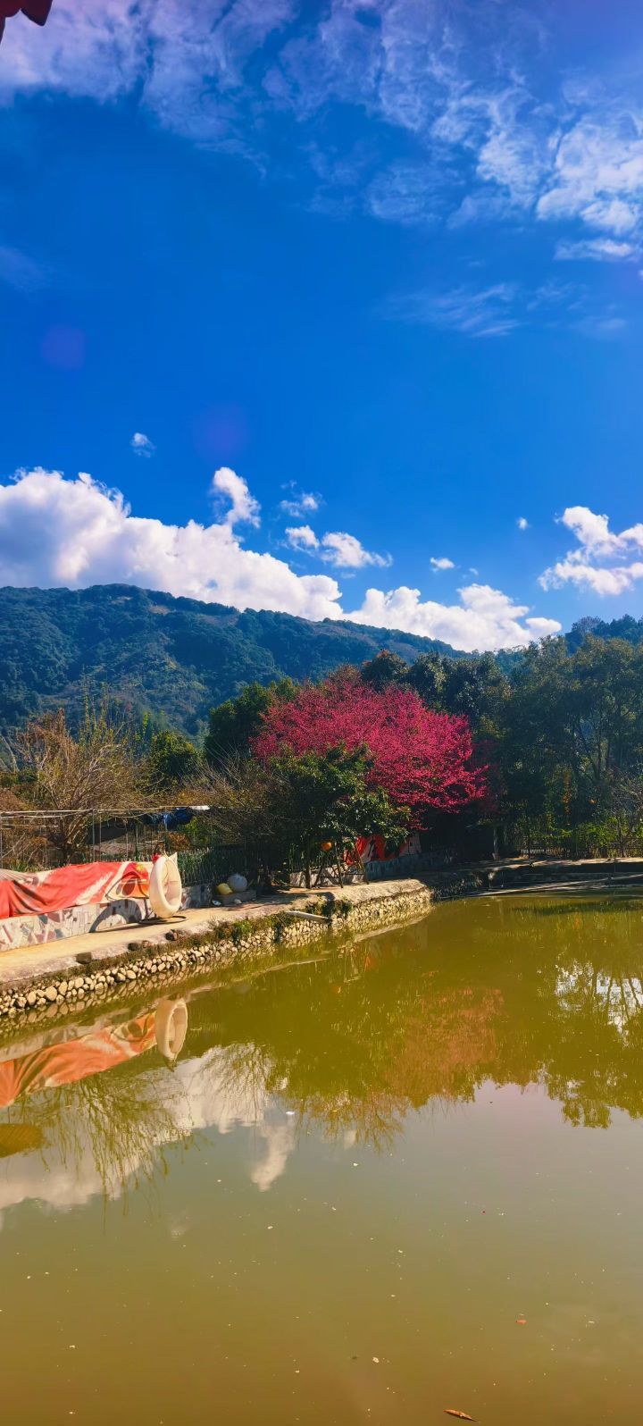 妞妞骑行西双版纳主播图片