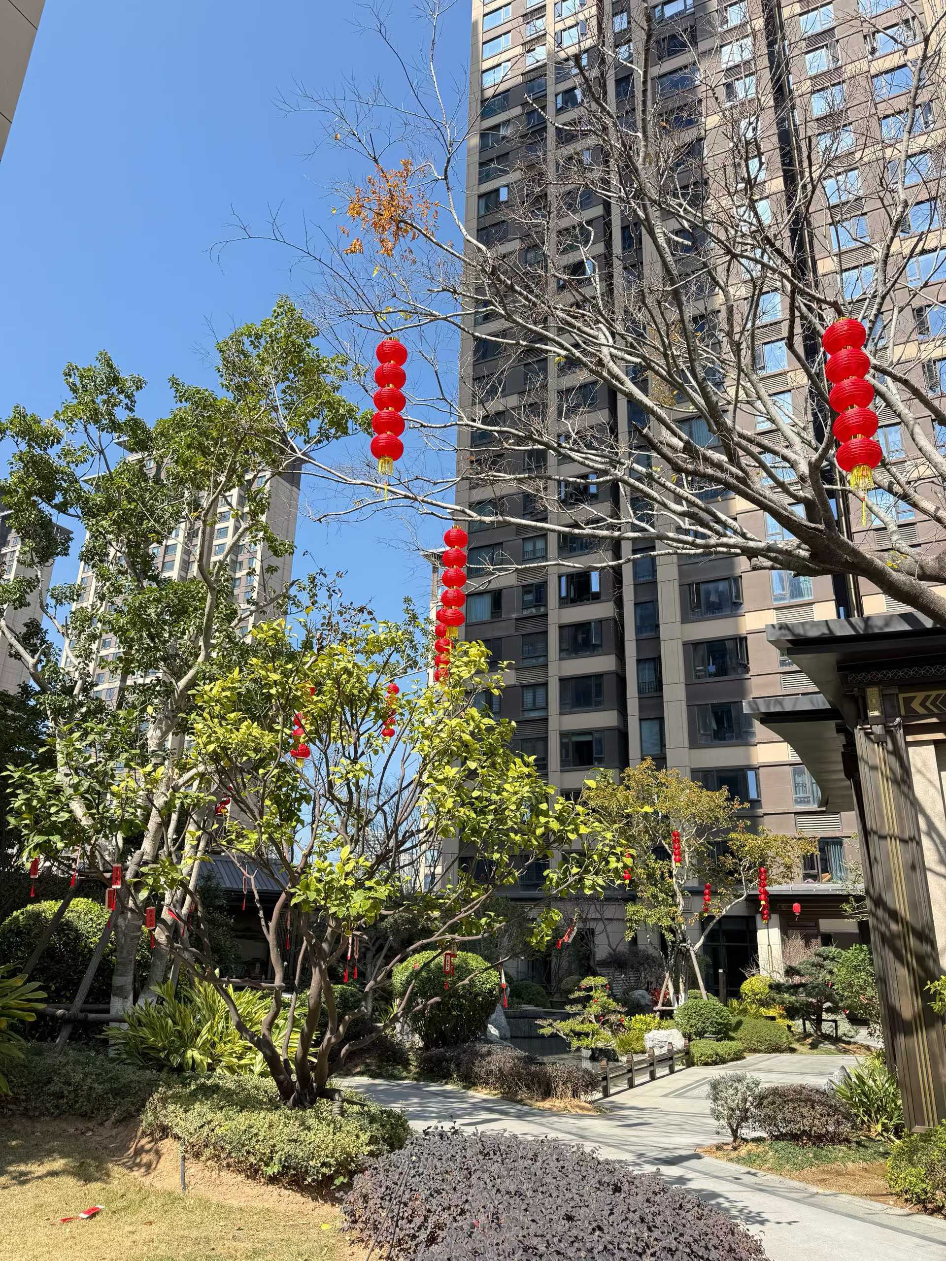 宝儿祝家人们新年快乐的主播照片