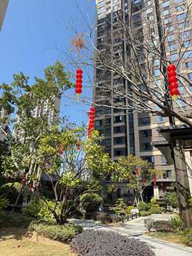 宝儿祝家人们新年快乐的图片