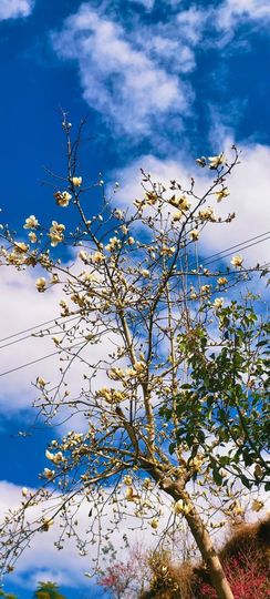 妞妞骑行福清市的图片