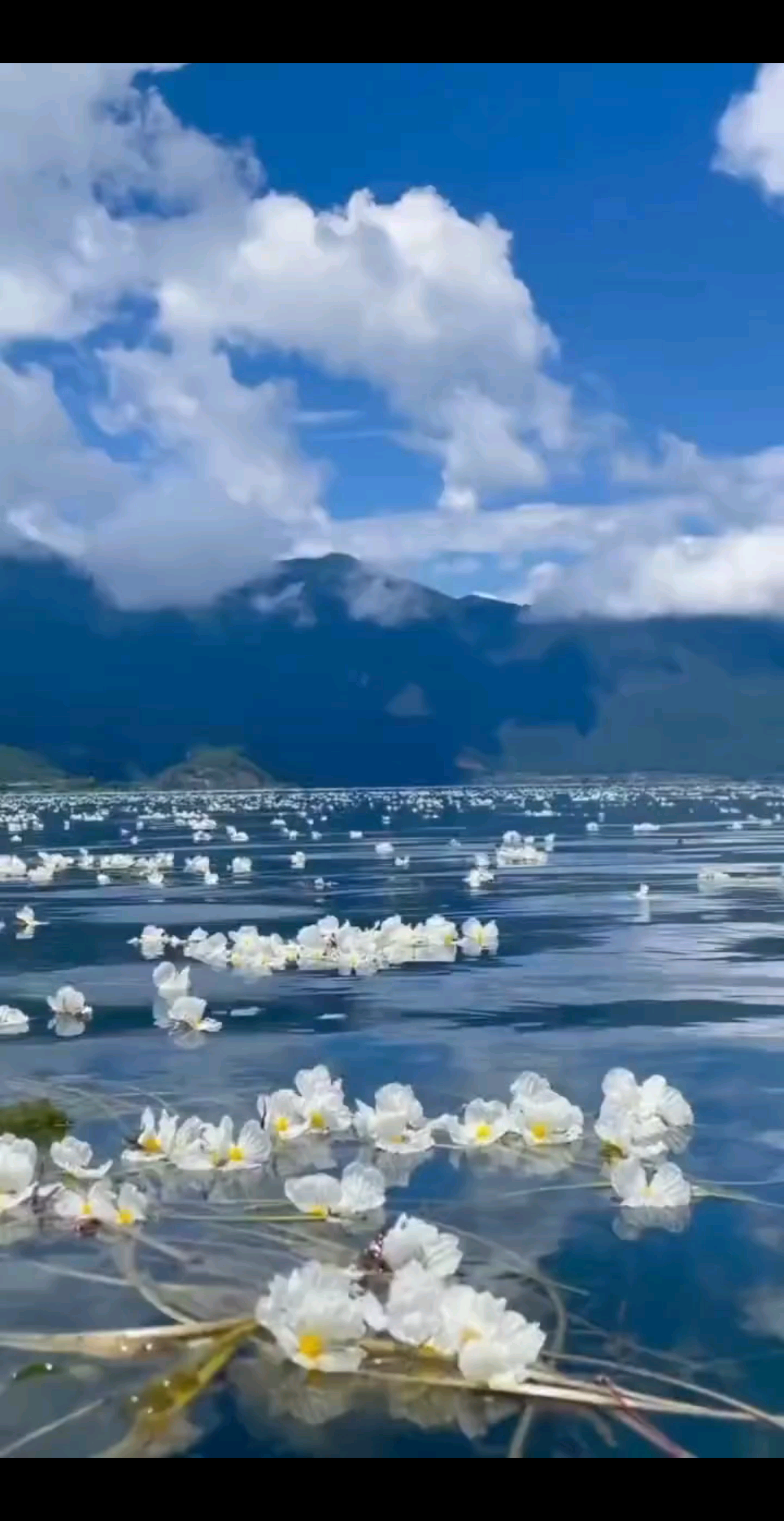 ❣️❣️接受岁月的伤