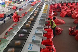 为你穿越1000英里的图片