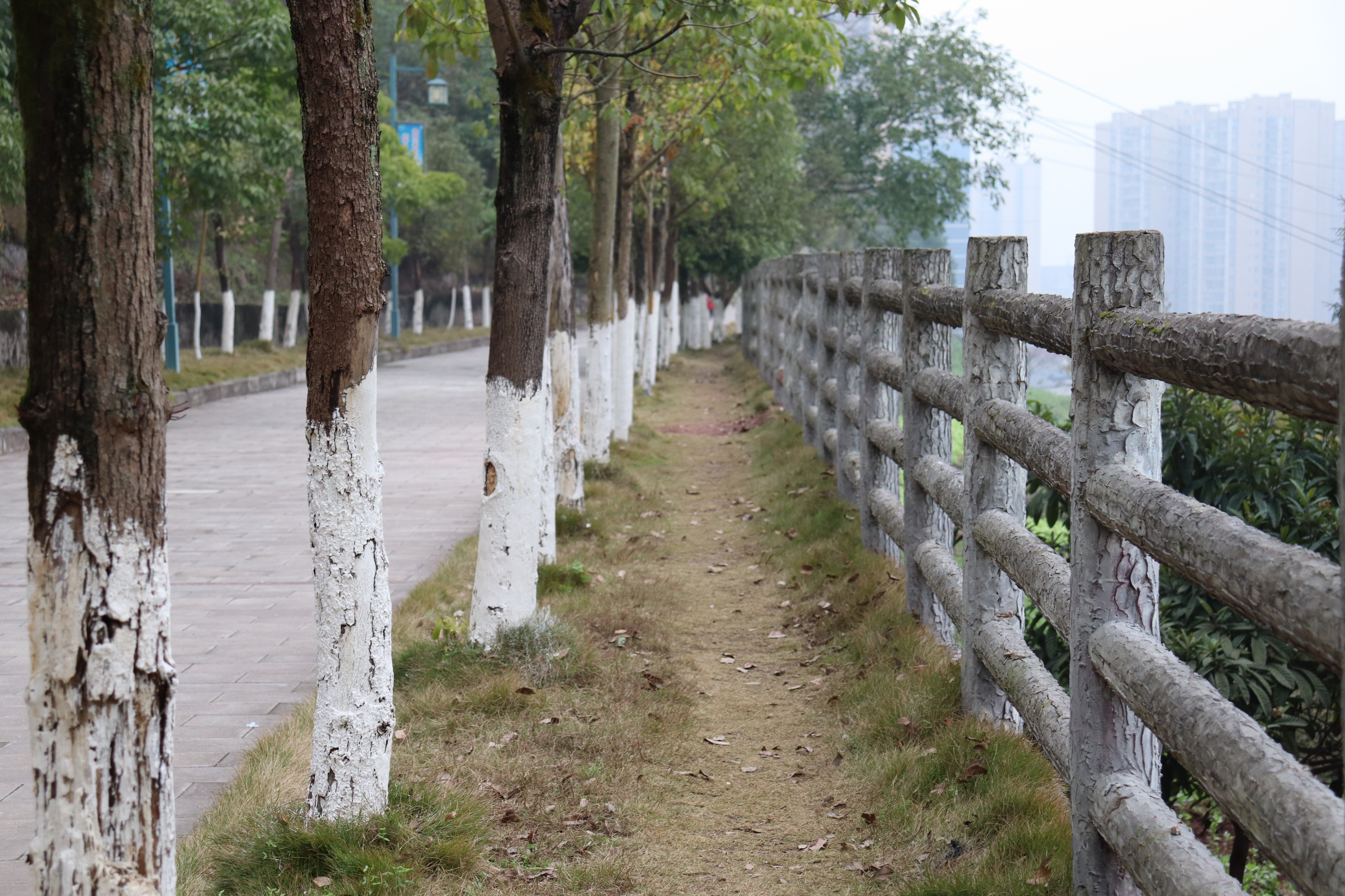 涵十八♫主播图片