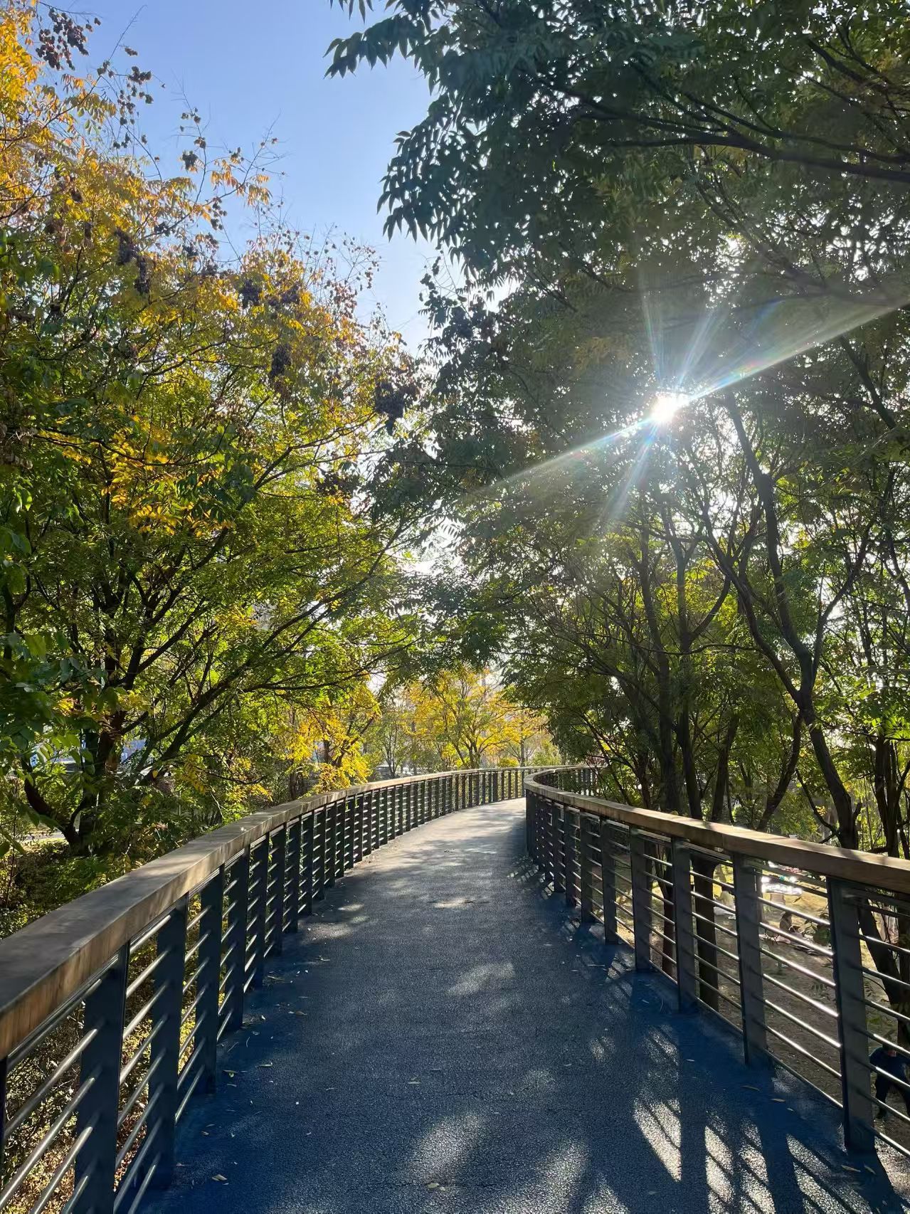 宝儿祝家人们新年快乐的主播照片