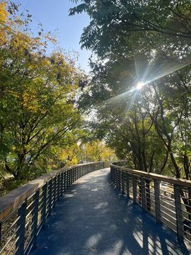 宝儿祝家人们新年快乐的图片