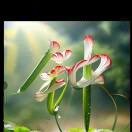 永怛的心💞13177