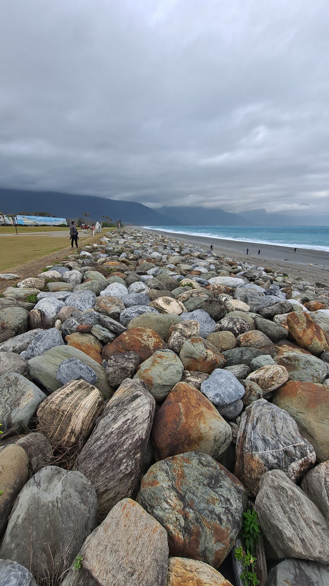 一只楚楚熊☆主播图片