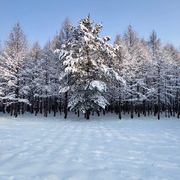 送奶工～过门不入