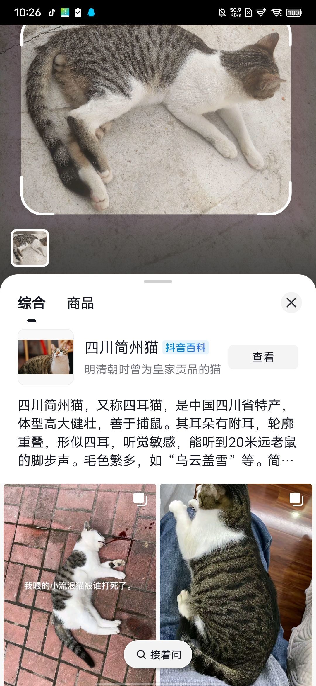 童媱凌的主播照片