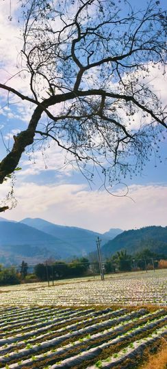 妞妞骑行莆田观游神的图片