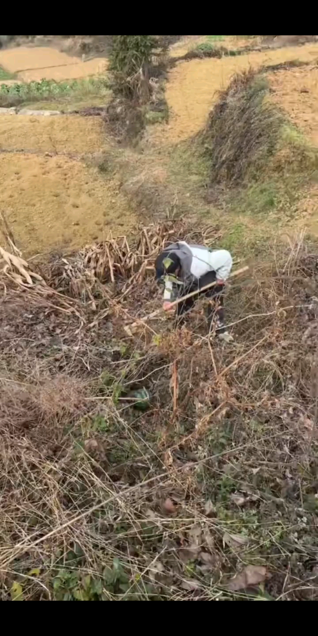 生活动态总不给我过，