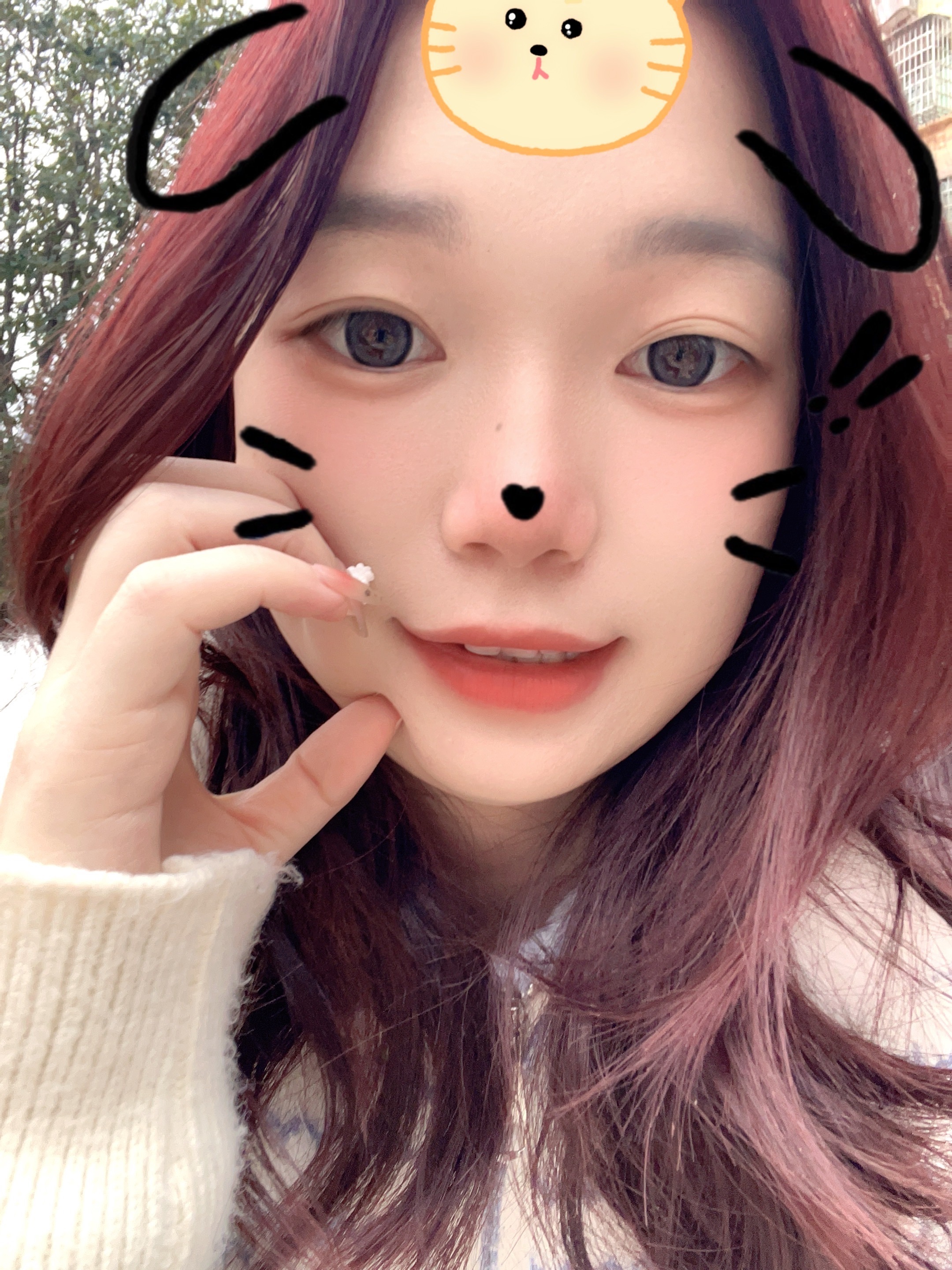 困告椰子.主播图片