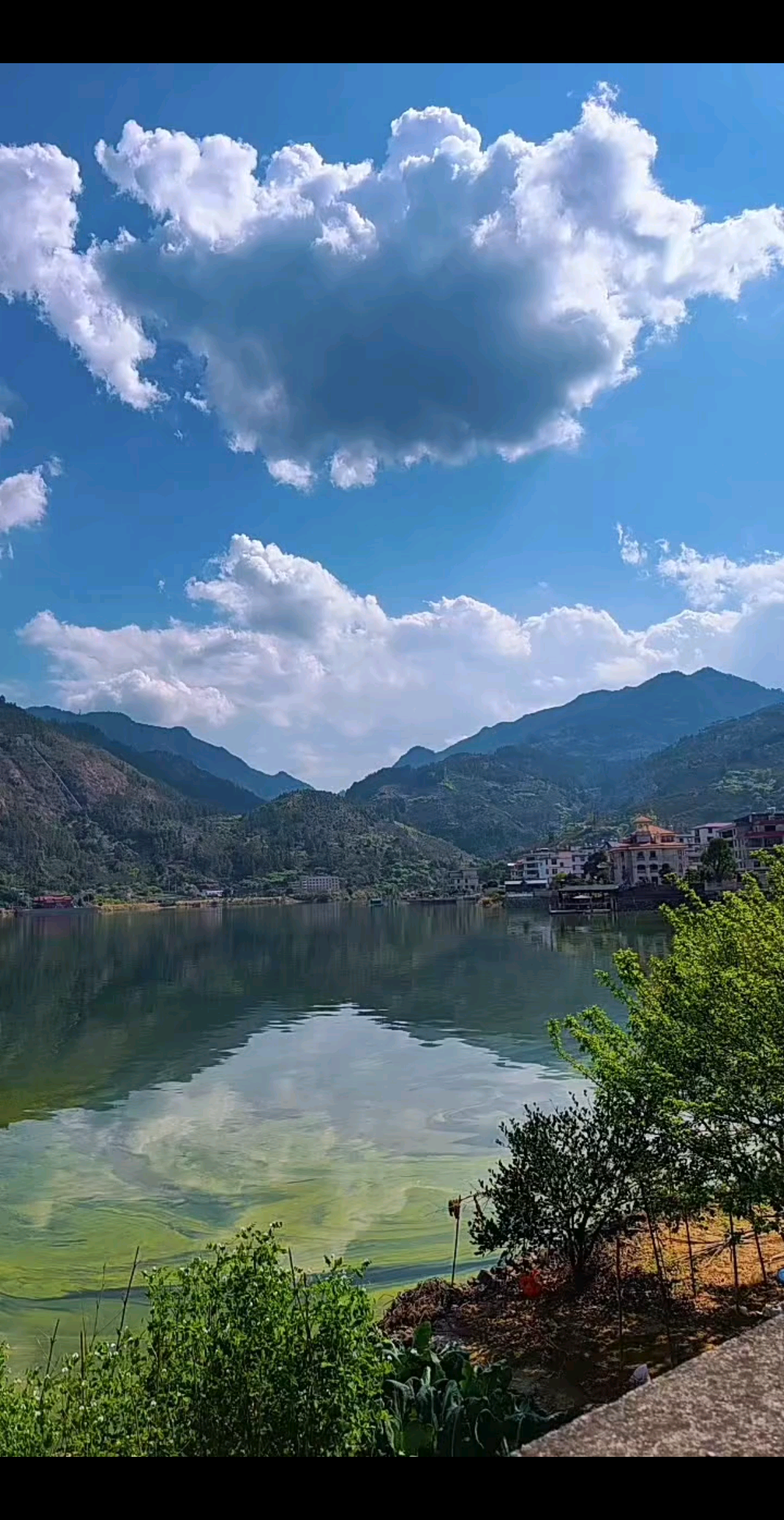 ❤️❤️开心的事 