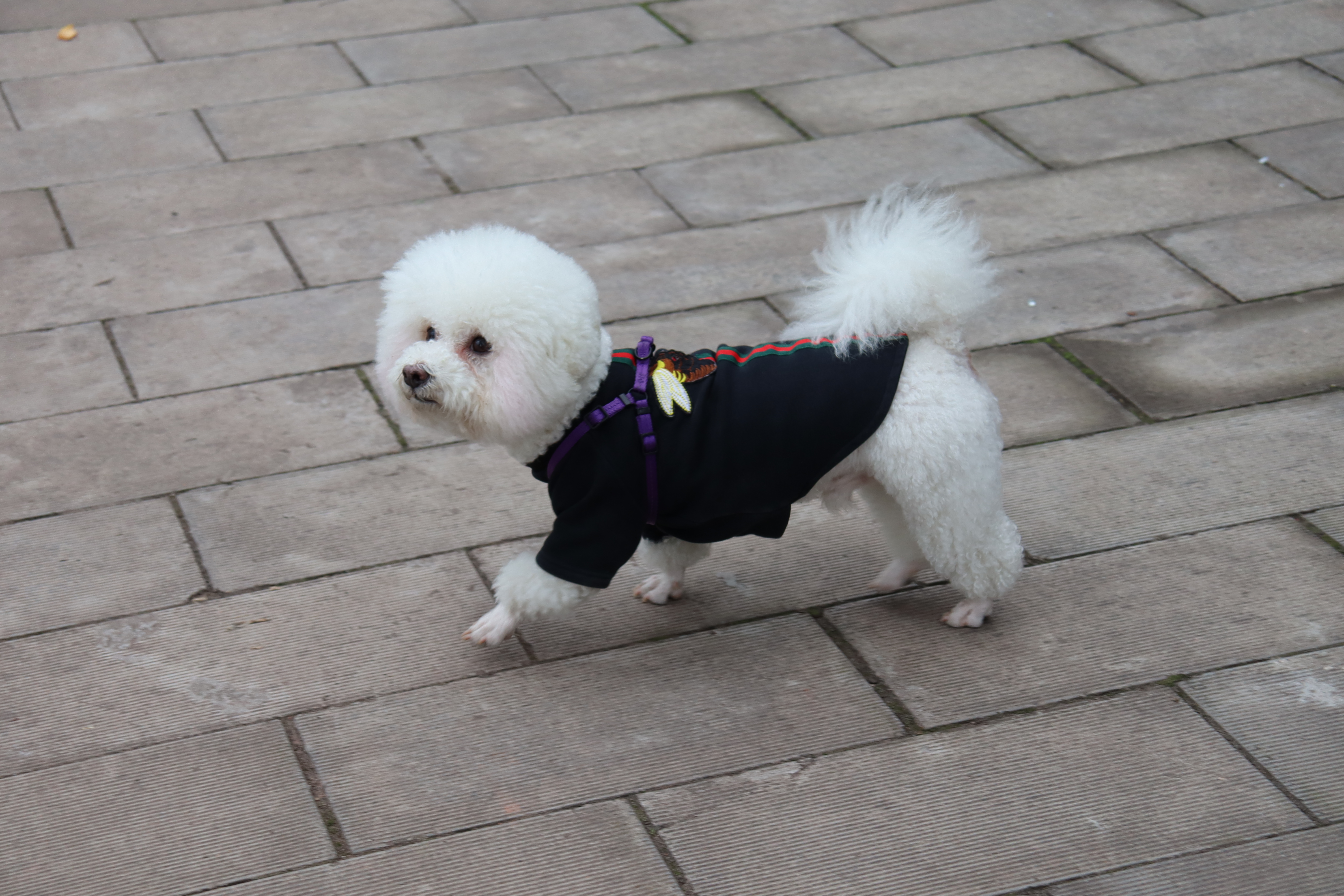 涵十八♫主播图片