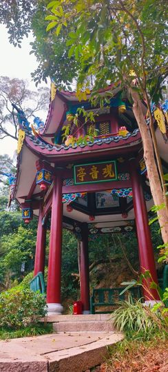 妞妞骑行福清市的图片