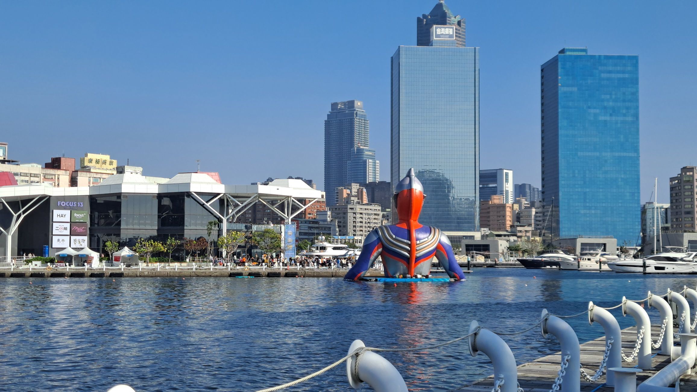 一只楚楚熊☆主播图片