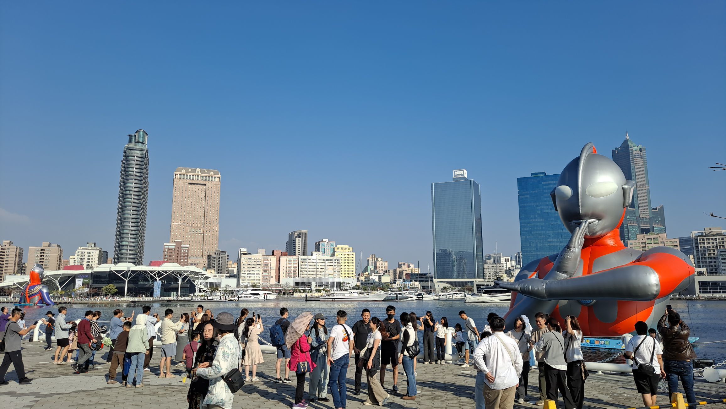 一只楚楚熊☆主播图片