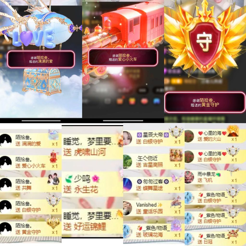 海鸽晚上播的图片