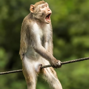 飘回来✌的头像