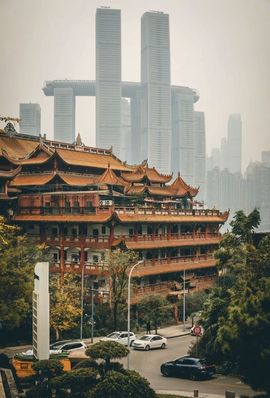 我是自由啊的图片