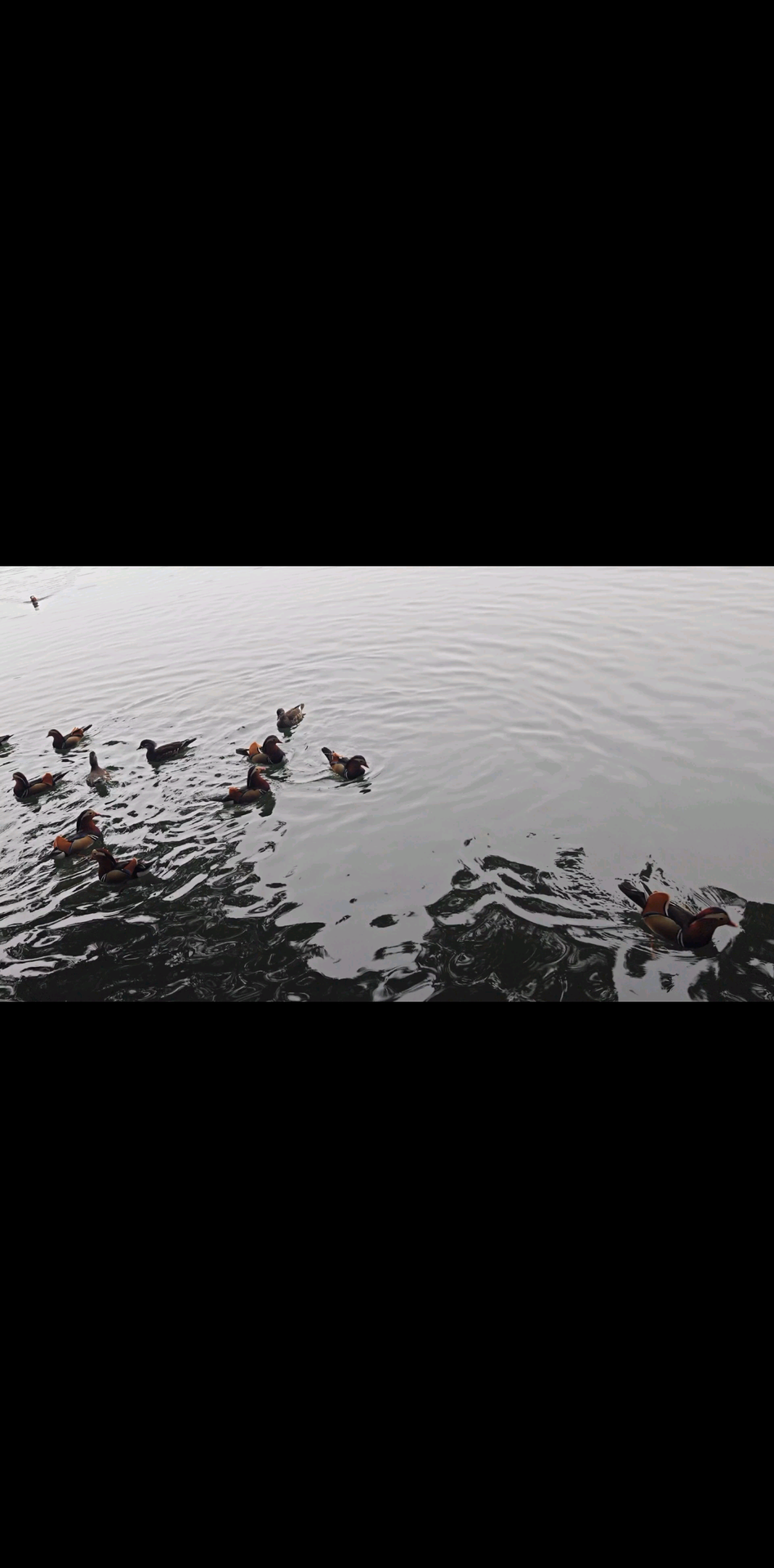 祝大家马上暴富，马上