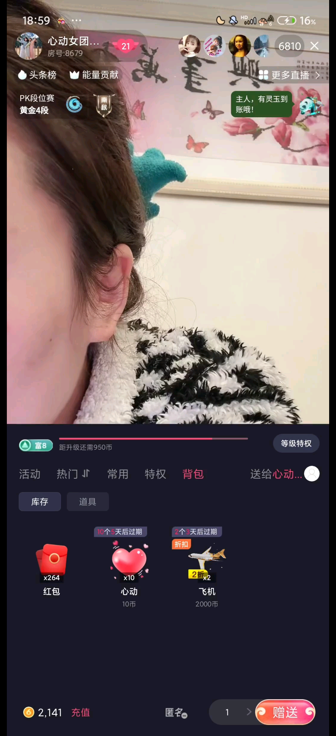 带宝宝看灰机狗不配看