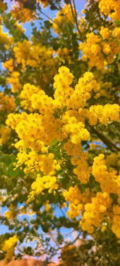 妞妞骑行古田县的图片