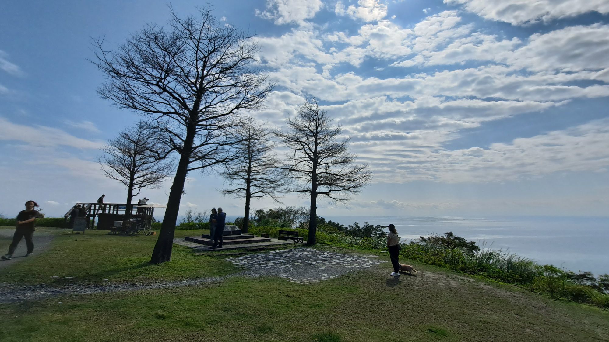 一只楚楚熊☆主播图片