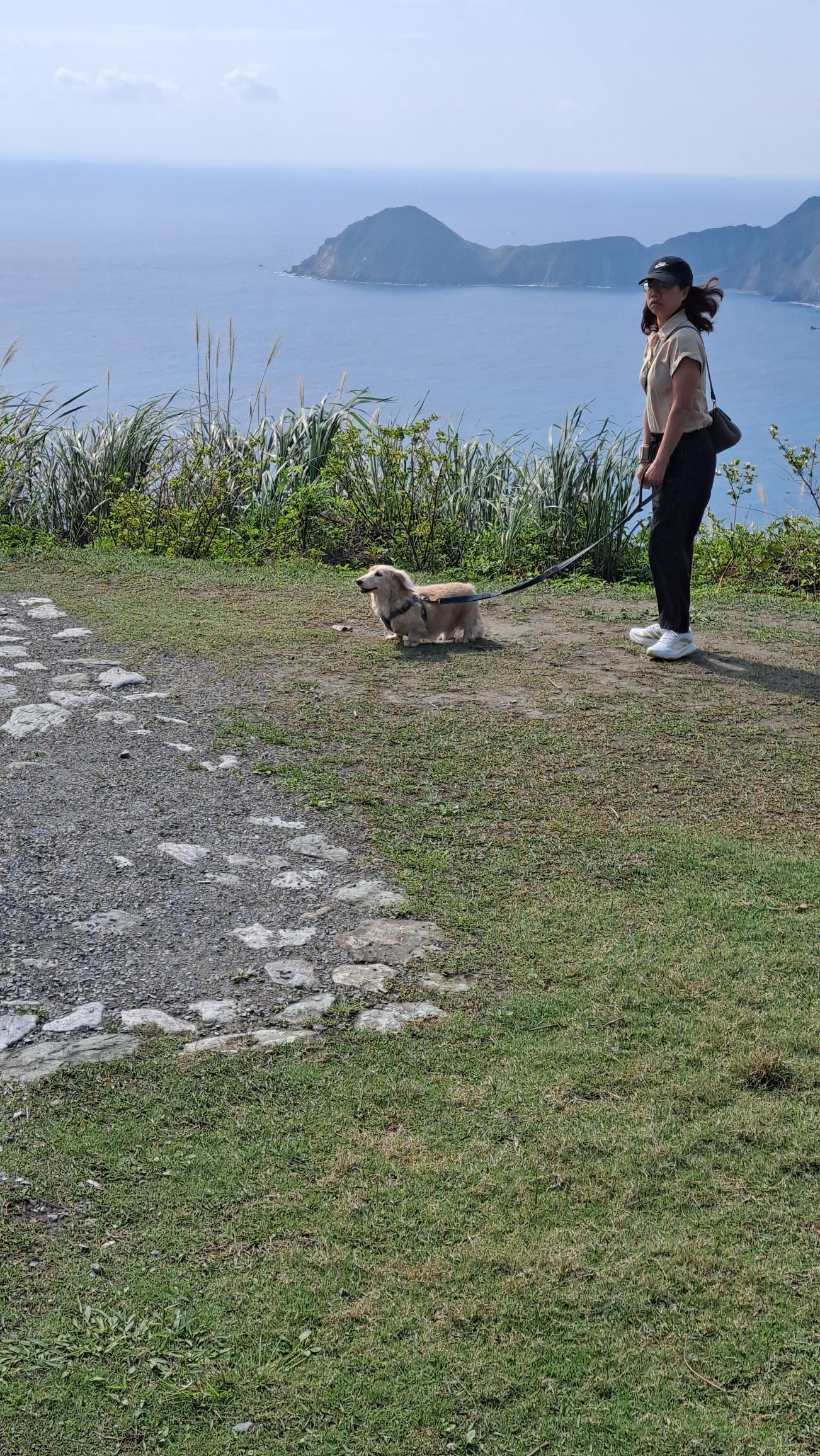 一只楚楚熊☆主播图片