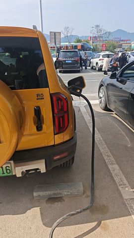 我是自由啊的图片