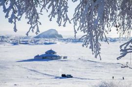 天王盖地虎虎044的图片