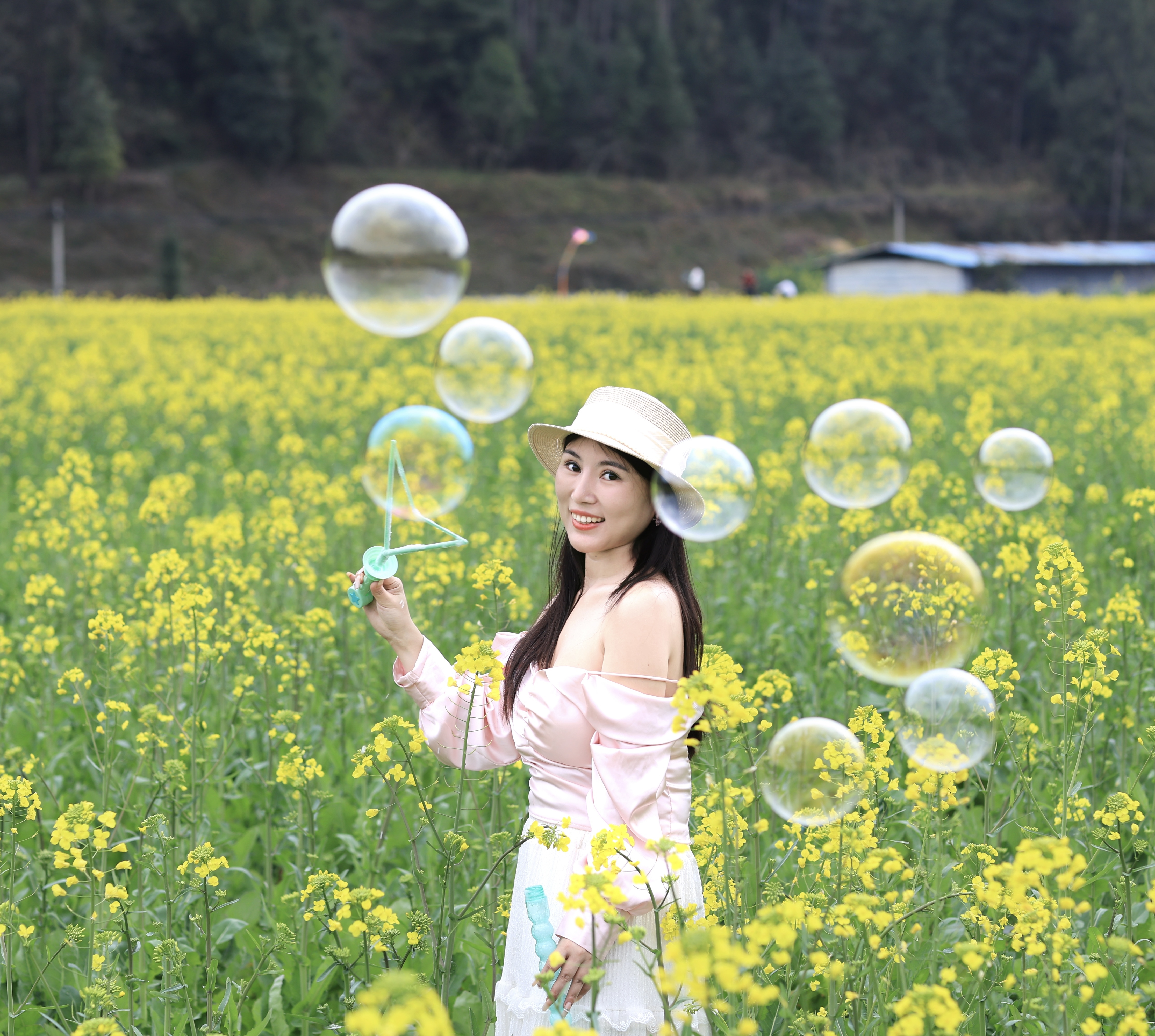 大元宝马年吉祥主播图片