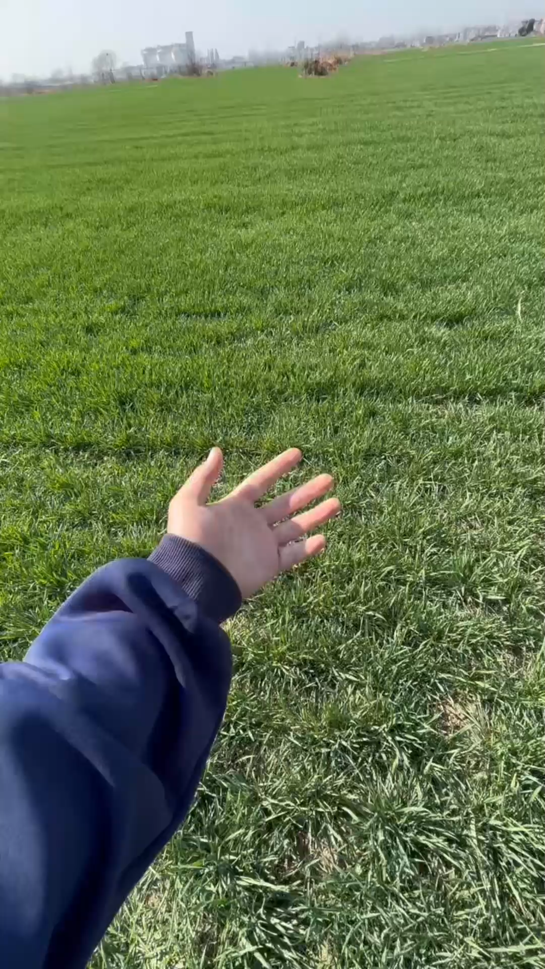 你是风儿我是沙，缠缠